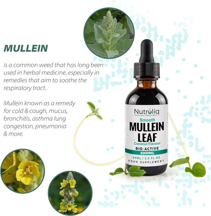 Nutroliq Mullein Leaf 50:1 Extract Drops - 60ml