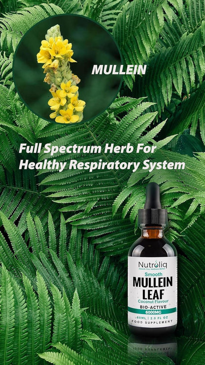 Nutroliq Mullein Leaf 50:1 Extract Drops - 60ml